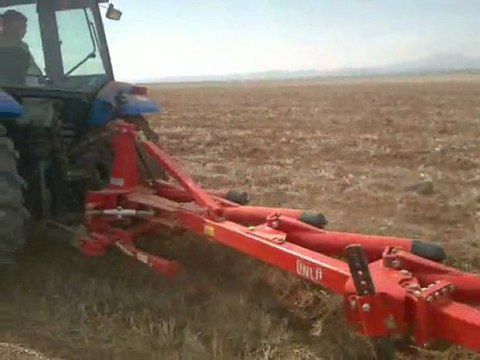 new hollandlar çifte