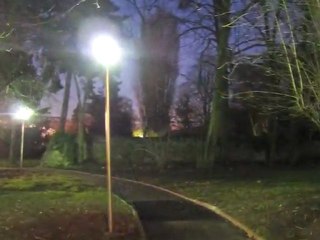 L'Apprenti Journal - Marly-le-Roi