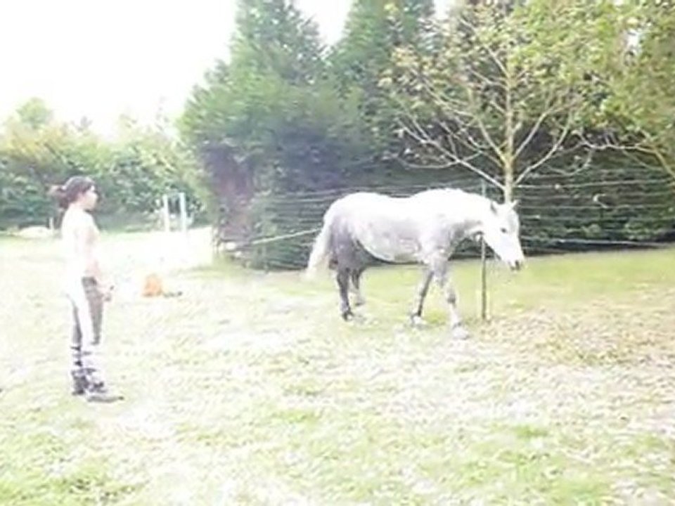 travail en cercle