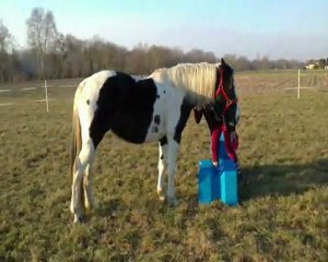 Vénus&Laura - 8 mois ♥