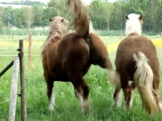 utha rentre chez nous