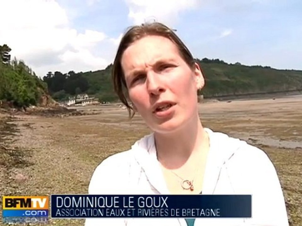 Les algues vertes prolifèrent en Bretagne