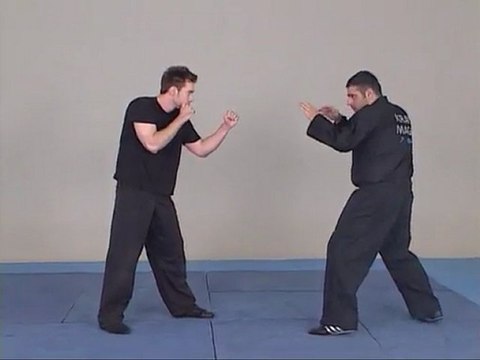 Cours de Krav Maga