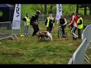 coupe de France des sports de traîneau hors neige à Chalinargues