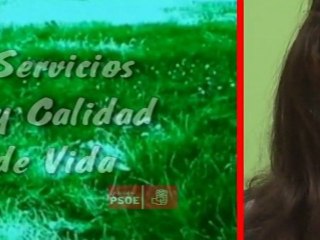 ELECCIONES MUNICIPALES 2011