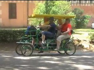 Piantumazione di Platani a Villa Borghese