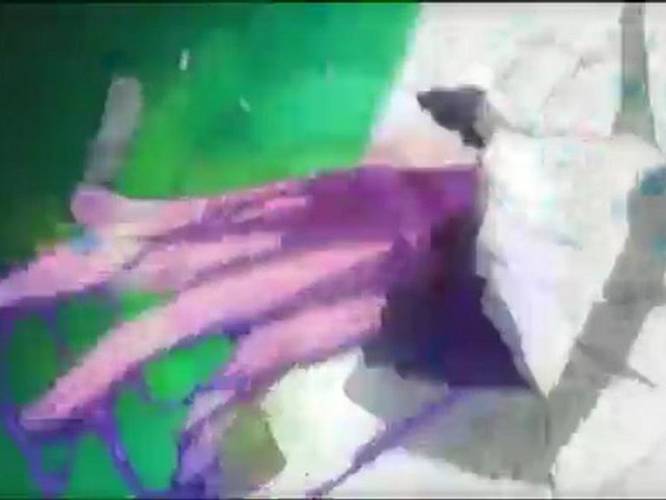 [Amv Soul Eater] Manic Lullaby