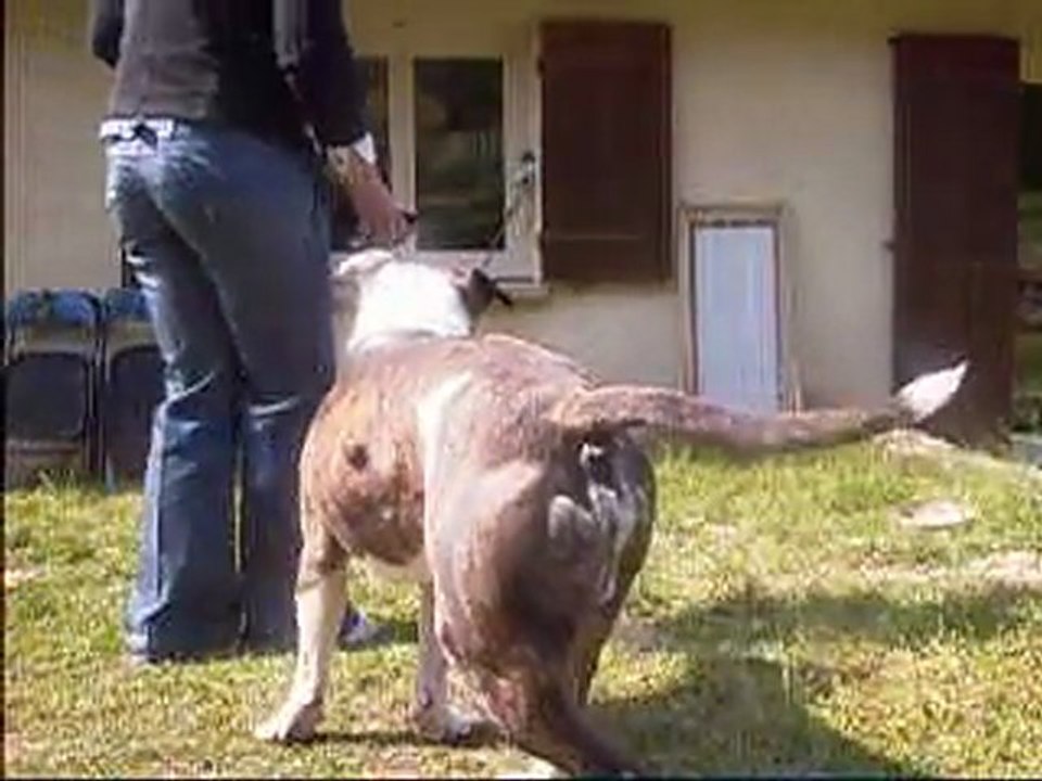 chouchou clicker prise en gueule et rapport