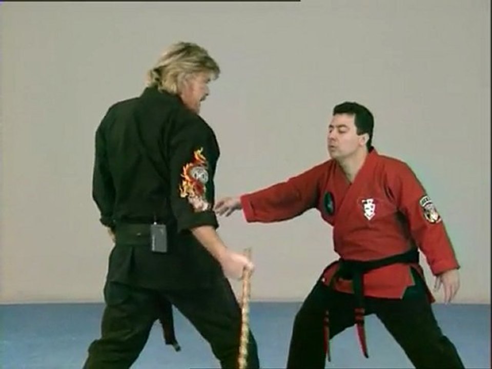 Kenpo techniques