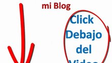 Como Educar a un Caniche