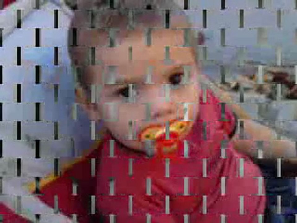 Montage kenzo