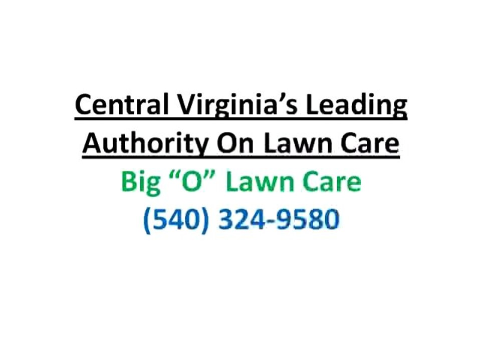 Lawn Care Virginia|Get Rid of Weeds and Dandelions
