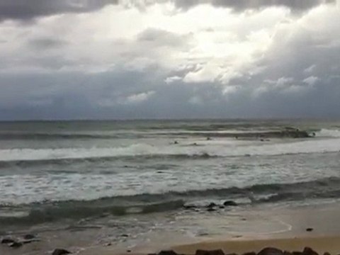 Burleigh Heads Beach Video