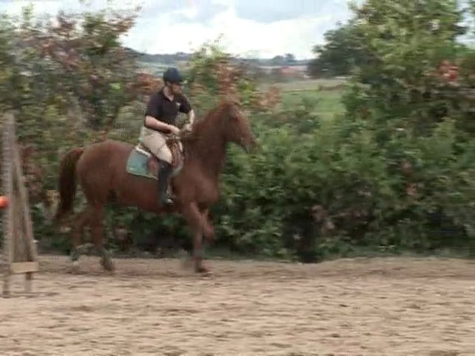report de poids vers l'arrière au galop (David)