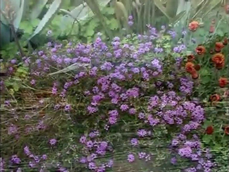 Corse balade dans l'ile de Beauté ( Walk in Corsica Island of Beauty )