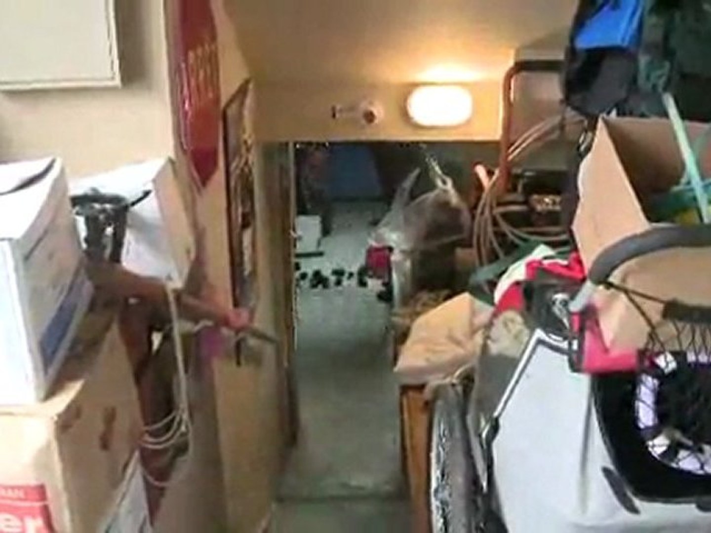 Vidéos   Vidéos, vidéo   Cyberpresse