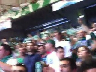 pao ole, pao oleo