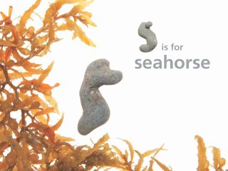 Children’s alphabet book, rocks, discover, nature, shapes