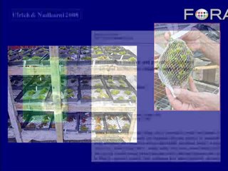 Growing Moss: Using Prisons to Promote Environmentalism