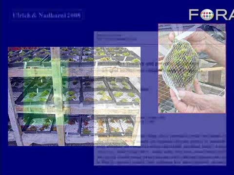 Growing Moss: Using Prisons to Promote Environmentalism