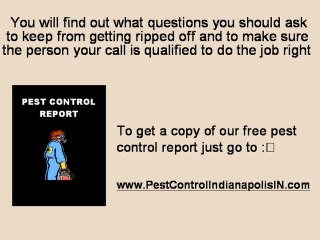 Pest Control Indianapolis | Indianapolis Pest Control