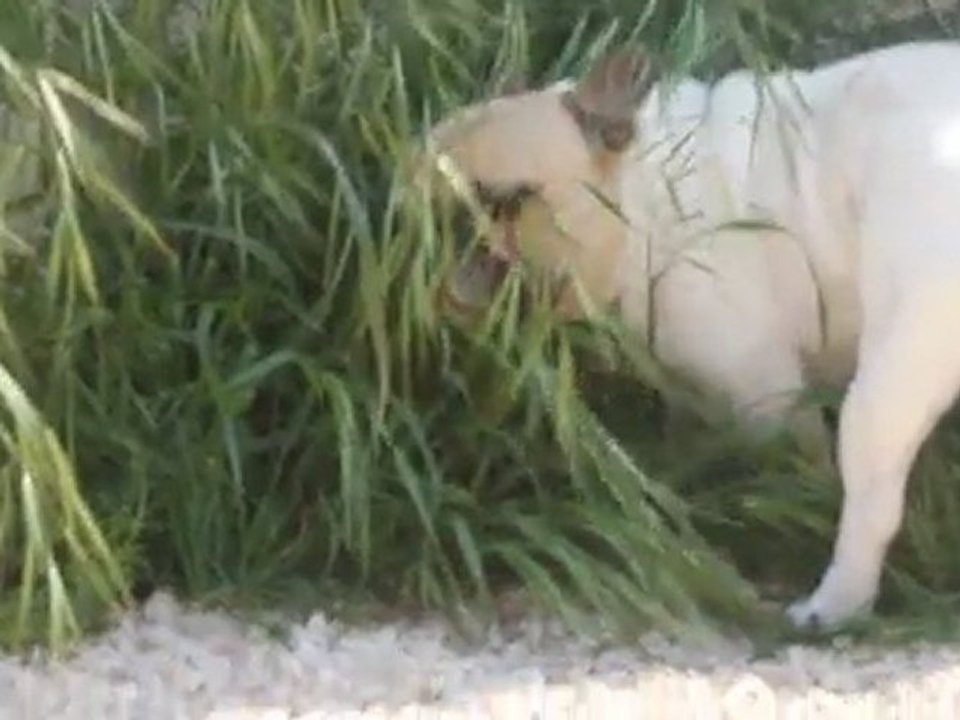 dalton son moment de bonheur