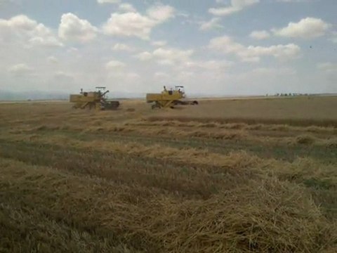 new holland clayson 1545 1530 1530