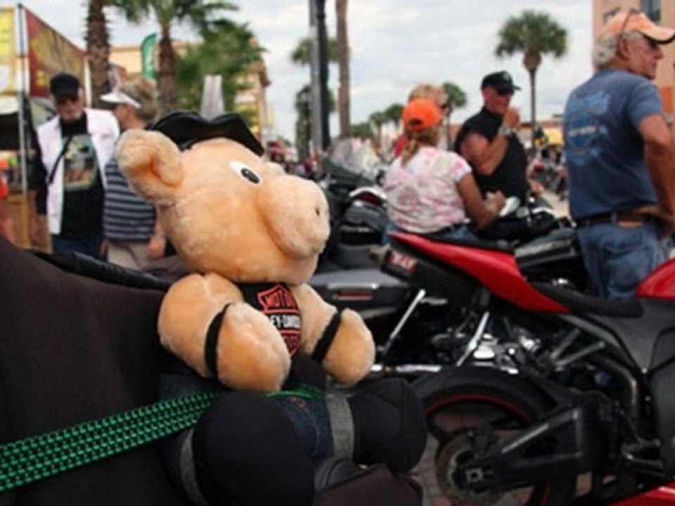les amis a 4 pattes des bikers