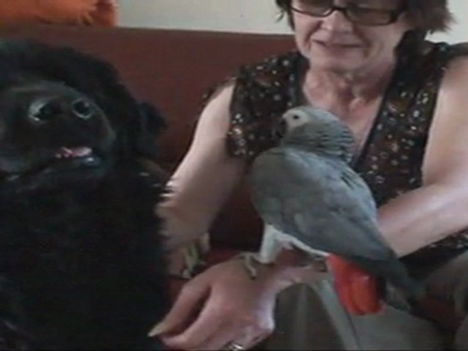 Dernier souvenir de Kiwi le 7 mai 2011