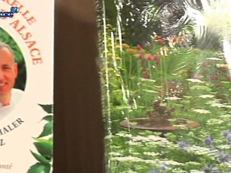 Saint-Louis fête le livre! (Alsace)