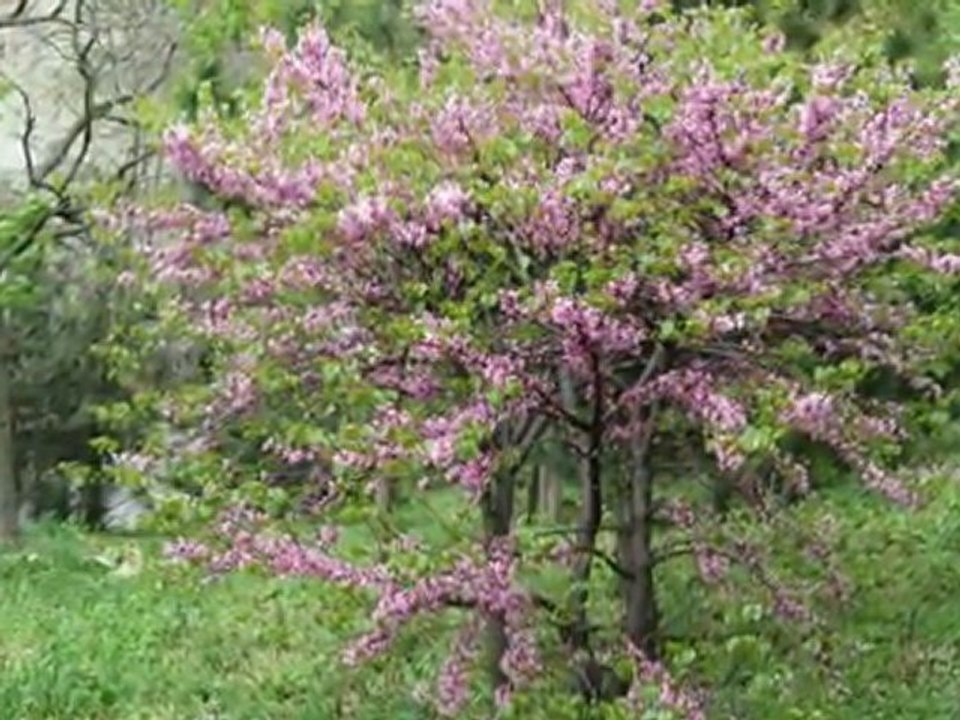 ESAS ISTANBUL  06.05.2011