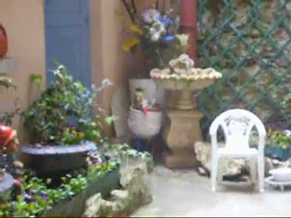 Merle prenant son bain