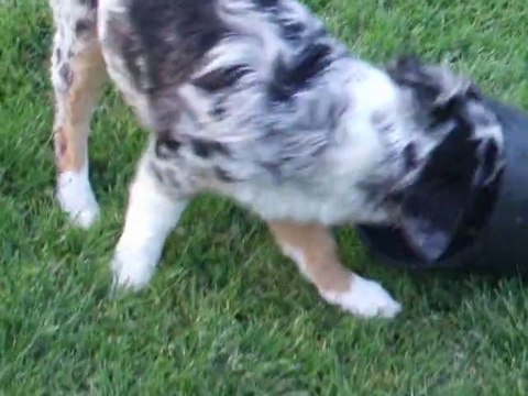 Fun pétage de plombs