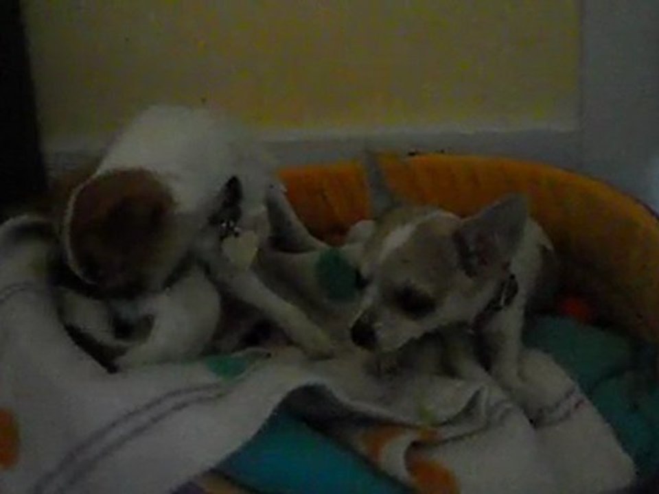 Berta et Kalin