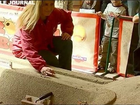 Les nantais se préparent au Mondial de Billes!