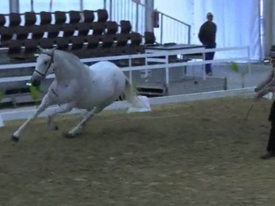 Jaquetona XIV en Alcab 2011 29042011