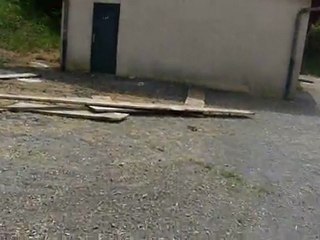 Run avec mon Xss - LRP