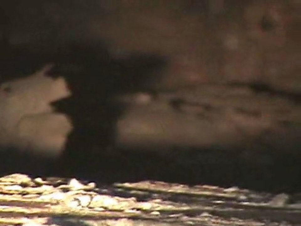 Houston Home Inspector: Faux Chimney
