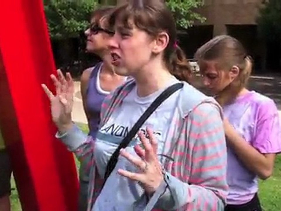 Springnet 435 - UT Art Landmarks Bicycle Tour