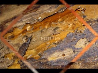 Wenatchee and Leavenwoth Home Inspection- NCW Home Inspections