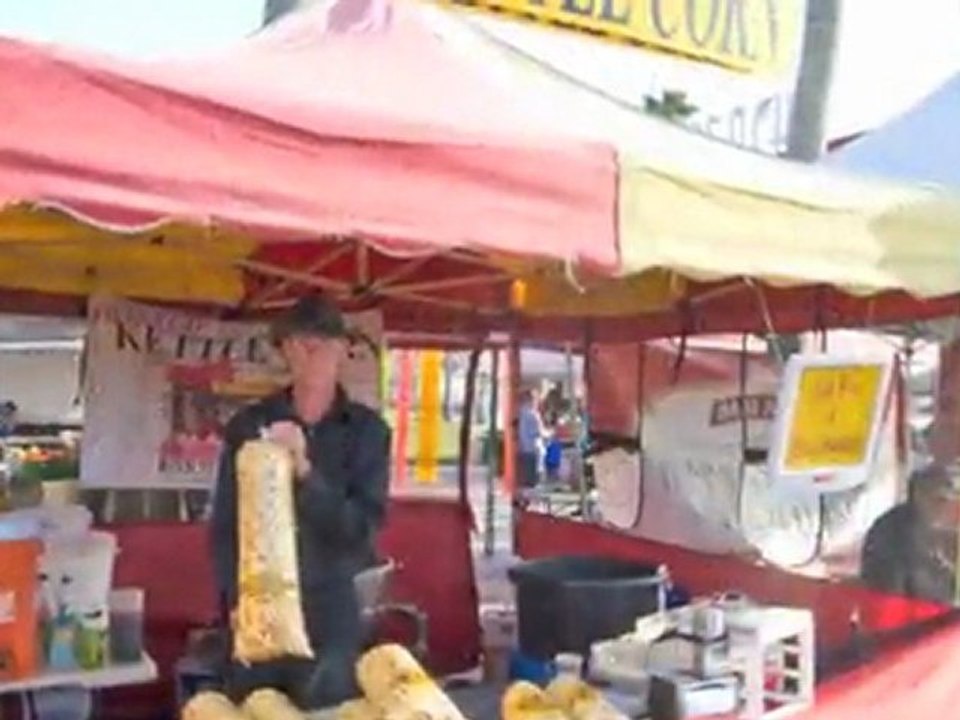 Imperial Beach Vegetarian Farmers Market --on the beach!