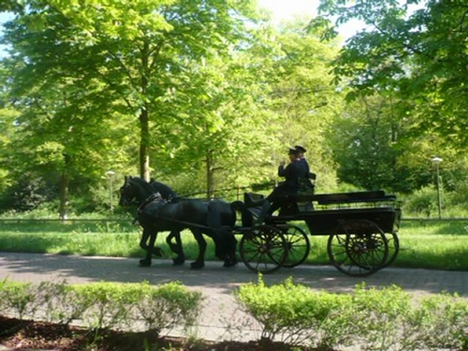 Rétrospective 2007-2008