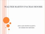 WALTER MARTIN PACHAS MOORE