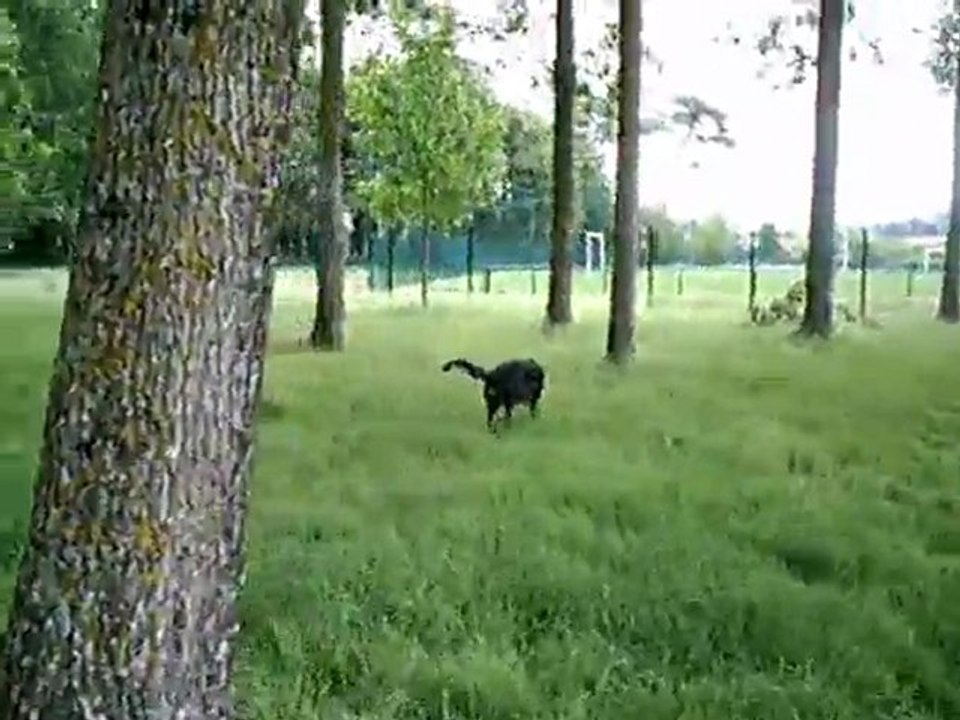 éole et véga  le 07 05 2011