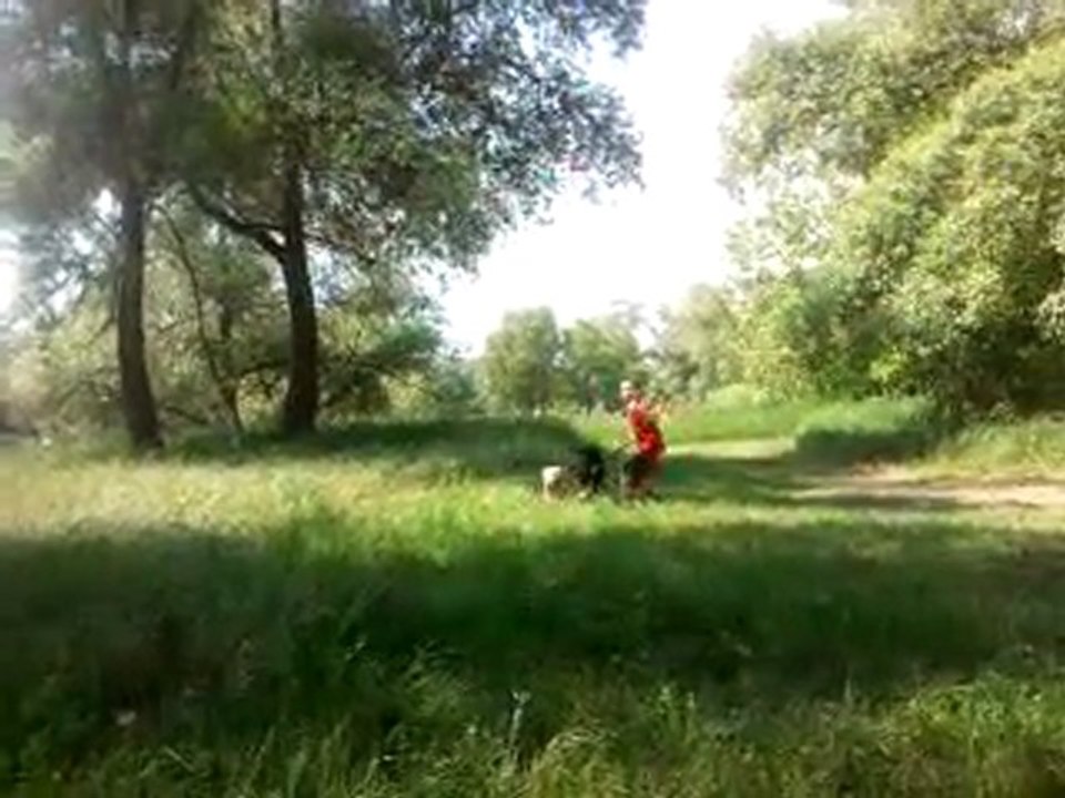 Flocon : Ballade aux etangs sous un soleil de plomb