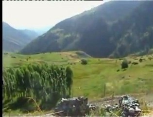 Sebahattin Şenel - Gelin Gidek Elinize