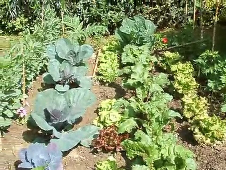 JFC jardin 8 mai 2011