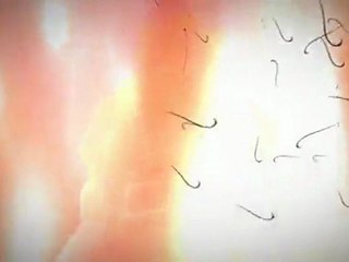 WoW Cataclysm Trailer