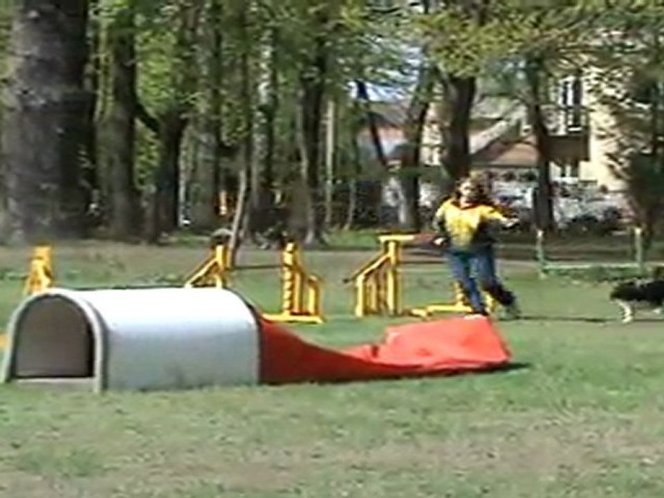 "Zuikelio taurė" - AstaxHila4