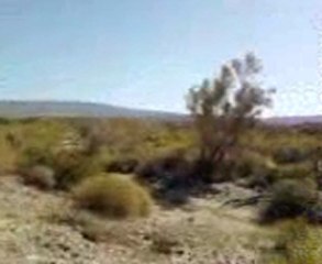 desert preserve in coachella valley, CA